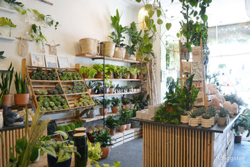 Lush Plant and Flower Shop