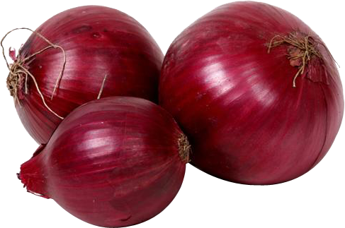 Onion